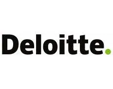 Deloitte Namibia business