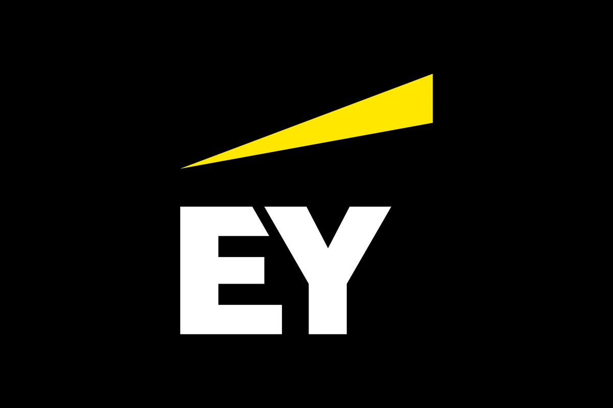 EY Namibia logo